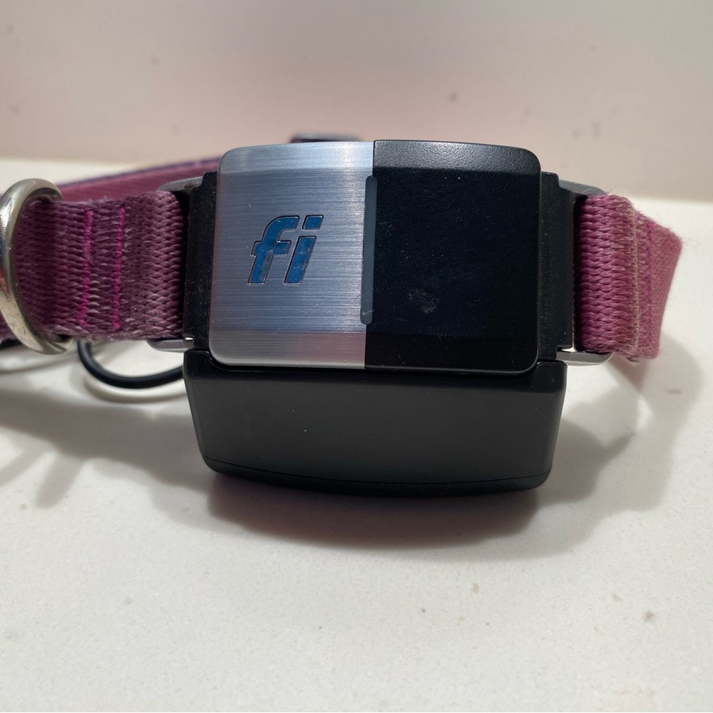 Fi 2 Series GPS Collar